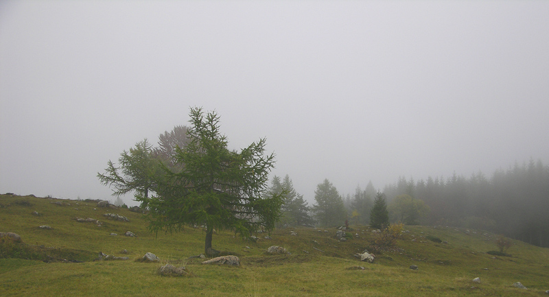 Scatti alle Viote del Bondone.